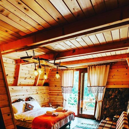 Purkinora Bungalov Çamlıhemşin Esterno foto
