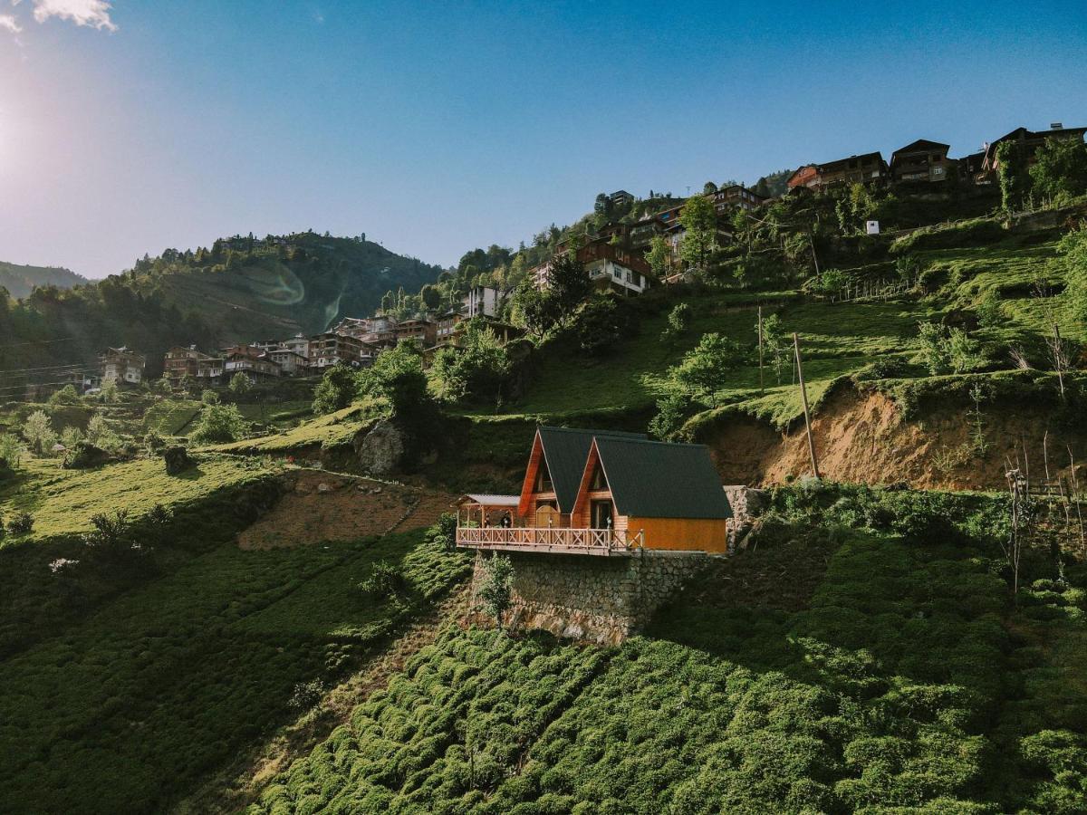 Purkinora Bungalov Çamlıhemşin Esterno foto