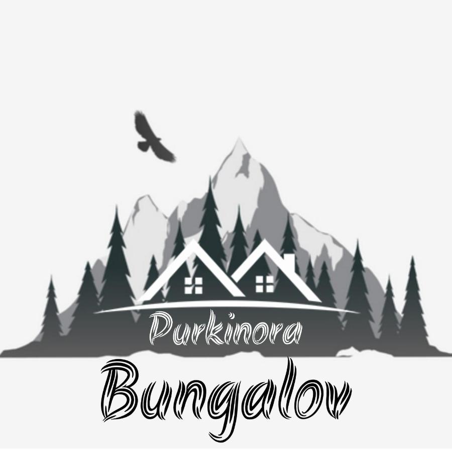 Purkinora Bungalov Çamlıhemşin Esterno foto