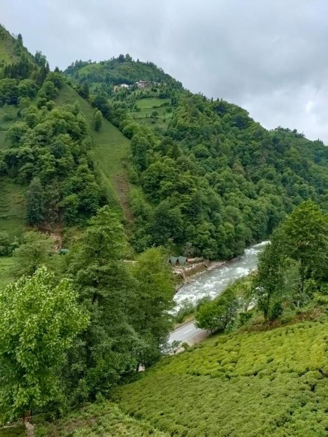 Purkinora Bungalov Çamlıhemşin Esterno foto