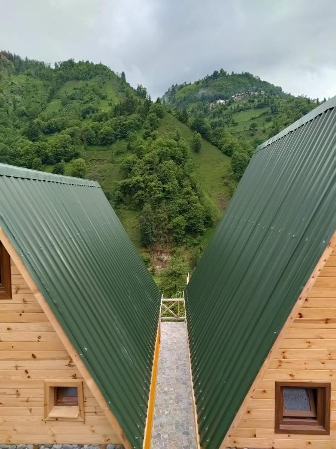 Purkinora Bungalov Çamlıhemşin Esterno foto