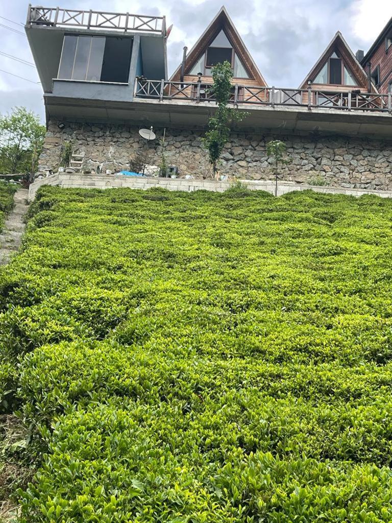 Purkinora Bungalov Çamlıhemşin Esterno foto